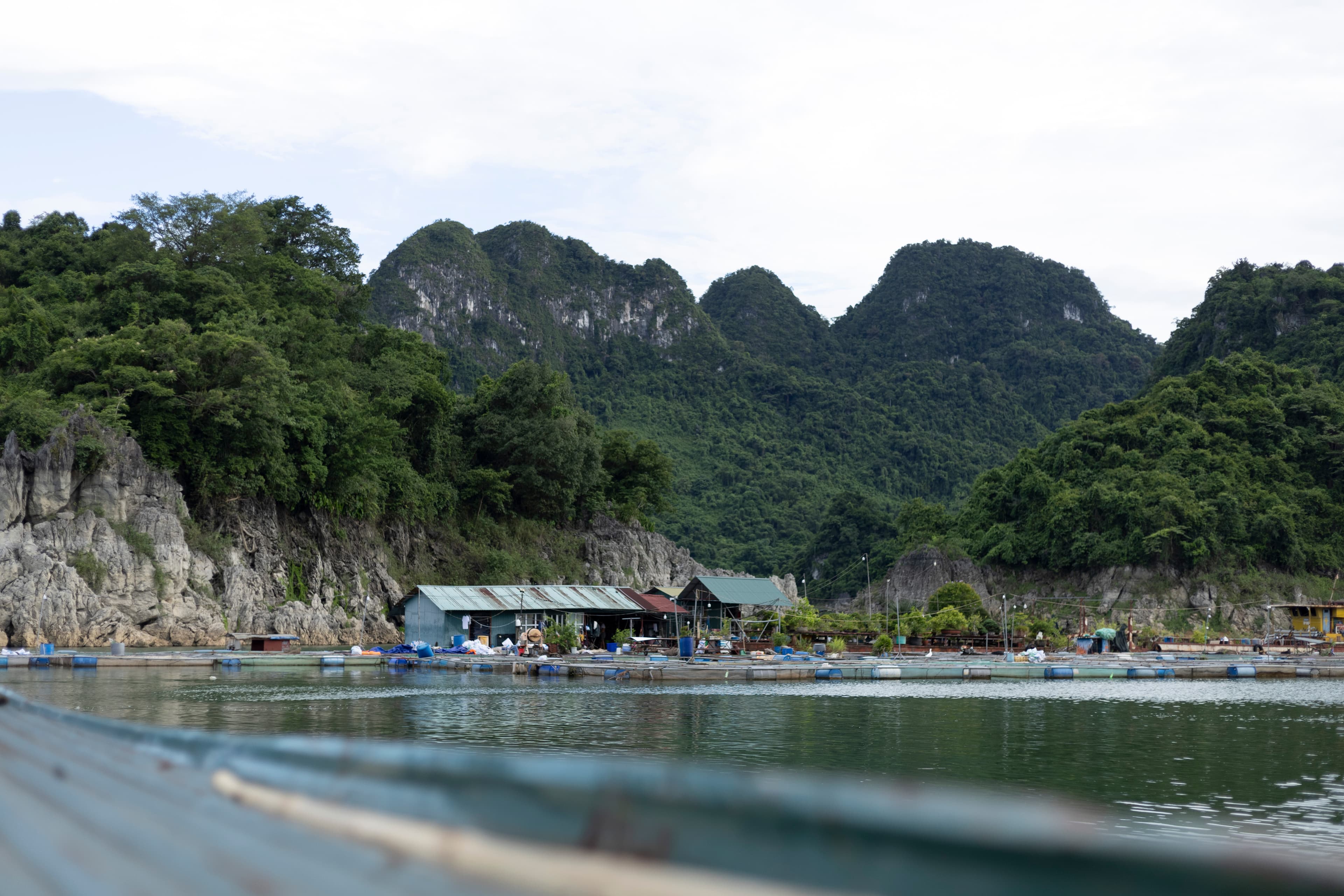 Thủy Sản Thác Bờ Footer Background